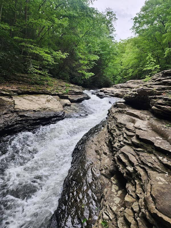 Ohiopyle State Park - Image 1