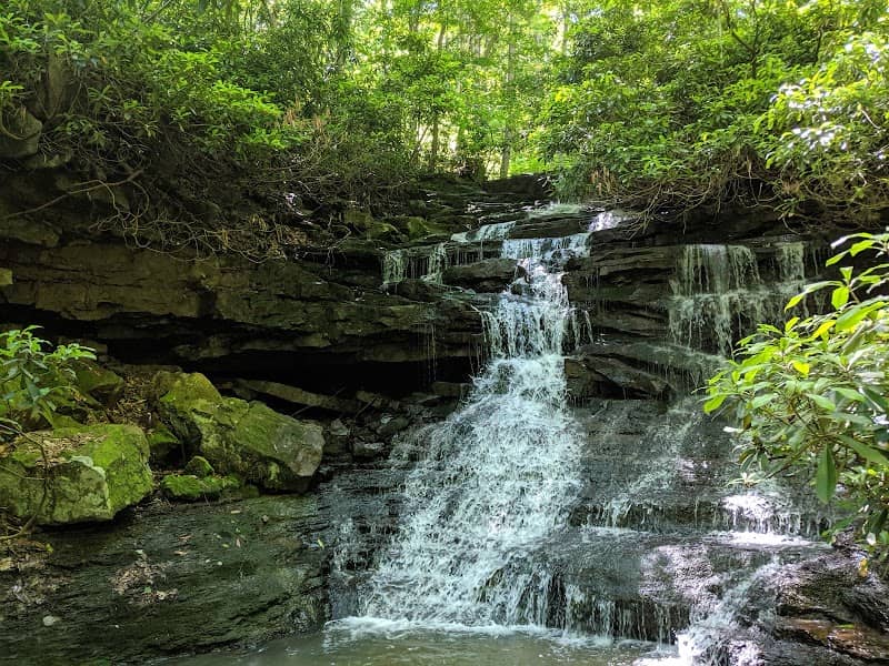 Ohiopyle State Park - Image 3