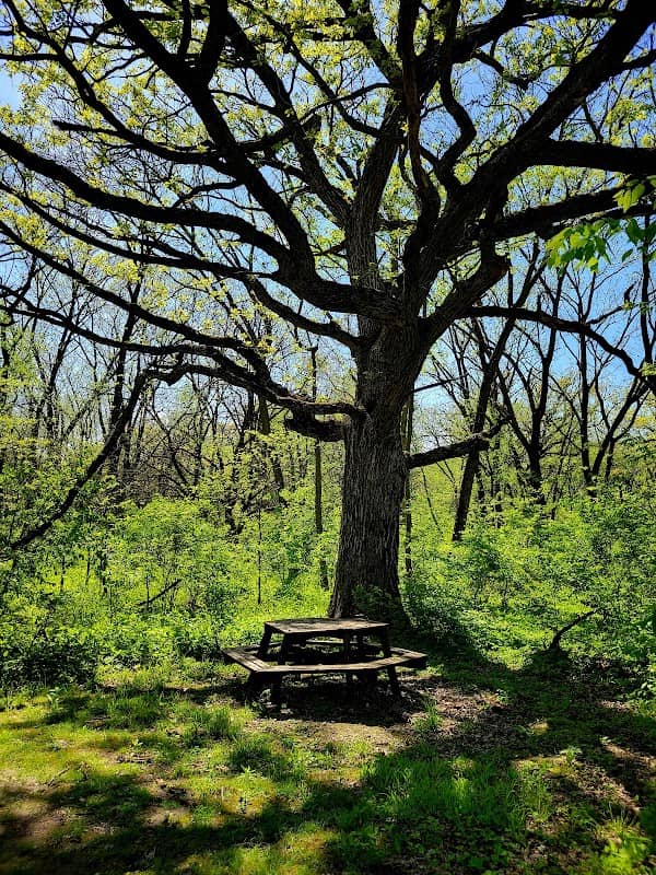 Millbrook South Forest Preserve Trail - Image 2