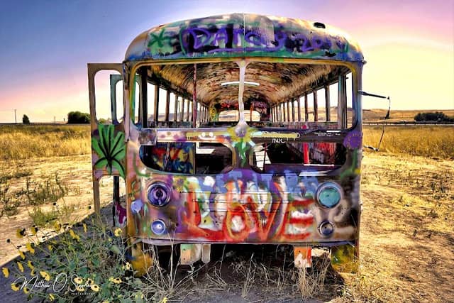 #thatnwbus - Image 1