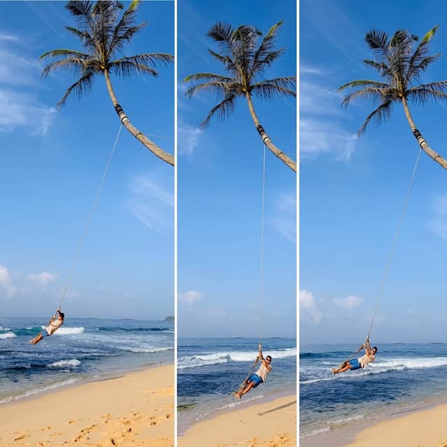 The Palm Rope Swin - Image 1