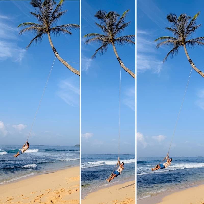 The Palm Rope Swin - Image 1