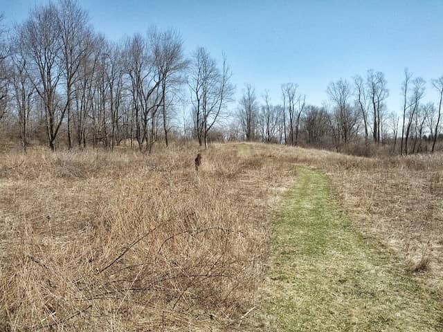 Leonard Preserve - Image 1