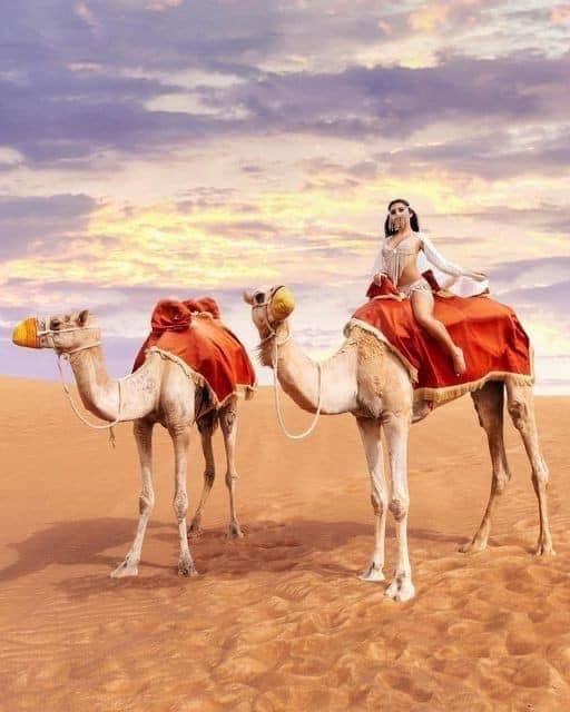 Desert Safari with quad bike and Buggy - Image 2