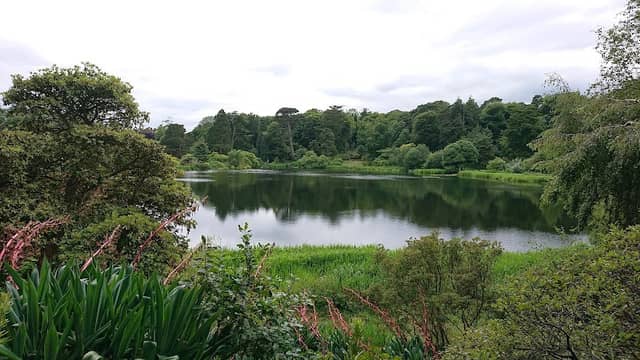Mount Stewart Lake - Image 1