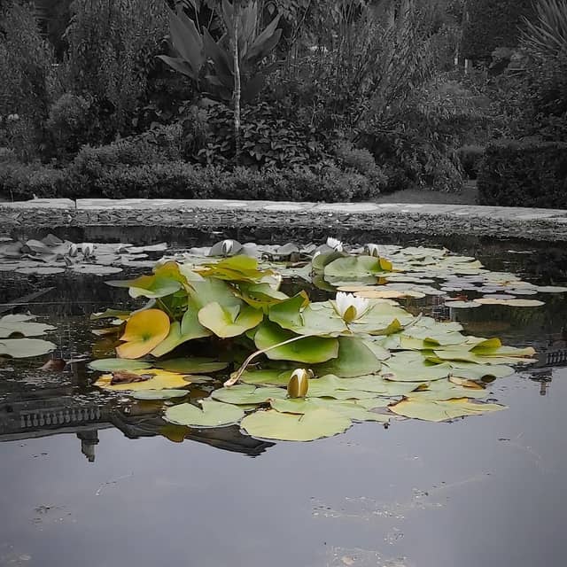 Mount Stewart Lake - Image 3