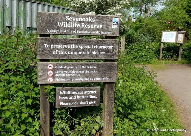 Sevenoaks Wildlife Reserve - Kent Wildlife Trust - Image 2