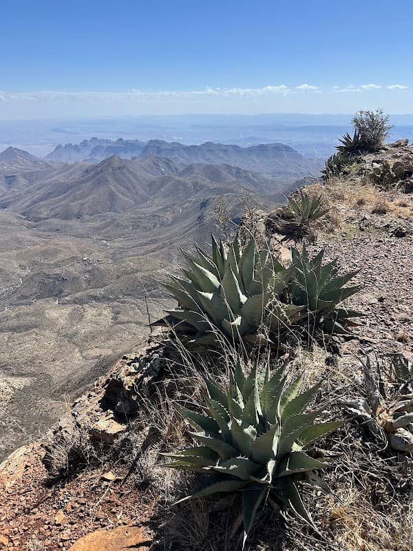 South Rim - Image 2