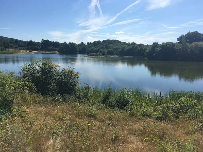 Spynes Mere - Image 1