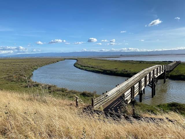 Don Edwards San Francisco Bay National Wildlife Refuge - Image 3