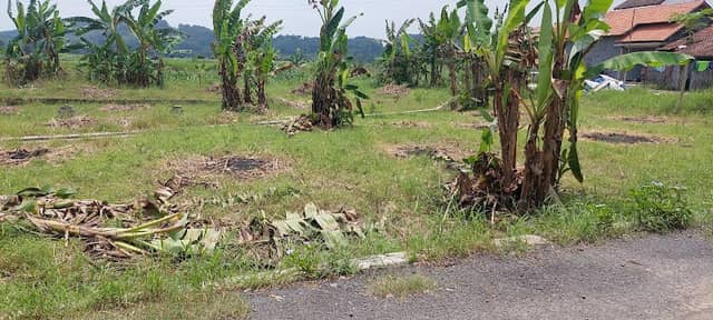 Area Parkir Kafe Sawah Waterpang - Image 1