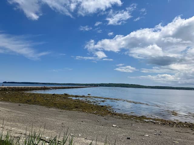 Marie Reed Park - Image 1