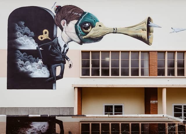 Duck Face, oeuvre street art de l'artiste Veks Van Hillik - Image 1
