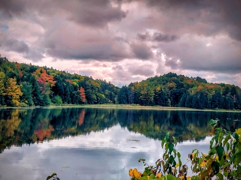 Beaver Hollow Niagara, LLC - Image 1