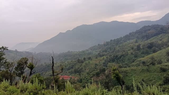Mele Anavai - Image 1
