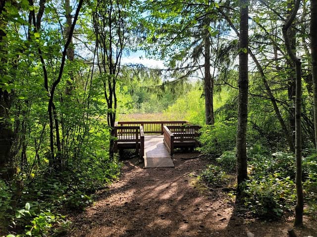 Paradise Pond Park - Image 2