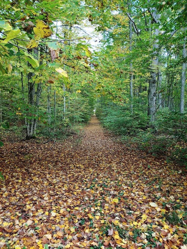 Louis M. Groen Nature Preserve - Image 2