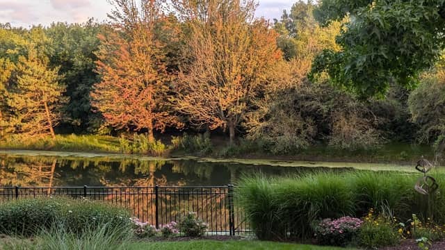 Prince Pond - Image 2
