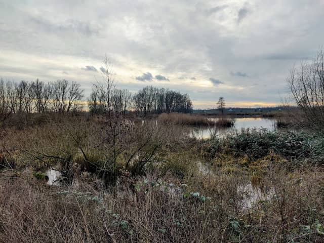 Palmerswaard - Image 1