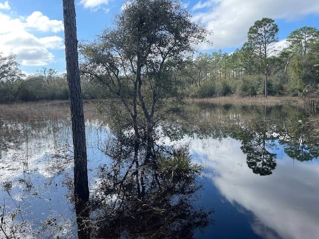 Cypress Lake Preserve Trailhead - Image 1