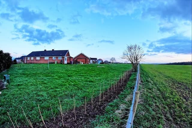 Community orchard - Image 1