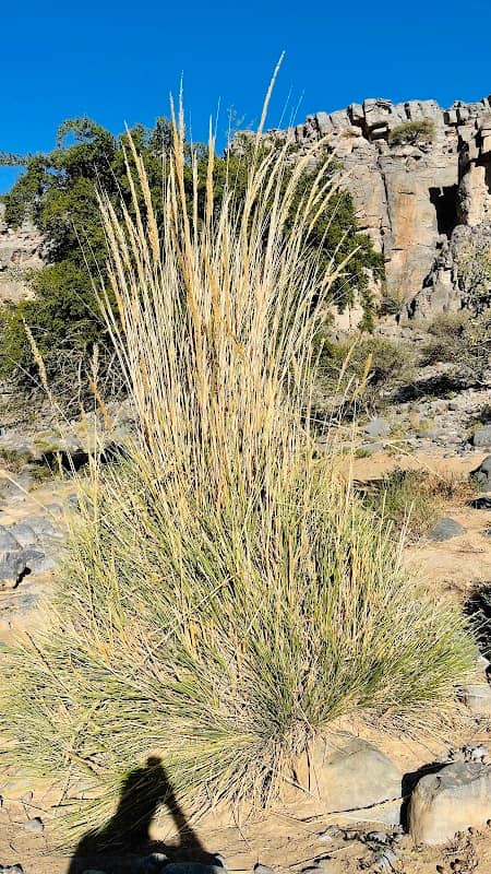 Wadi Sha'ma وادي شعما - Image 1