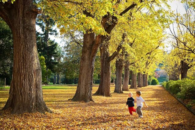 Albury Botanic Gardens - Image 1
