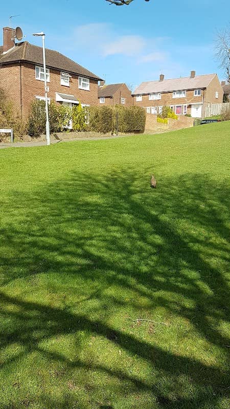 Thirsk Cliffe - Image 2