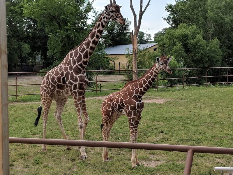 Roosevelt Park Zoo - Image 2