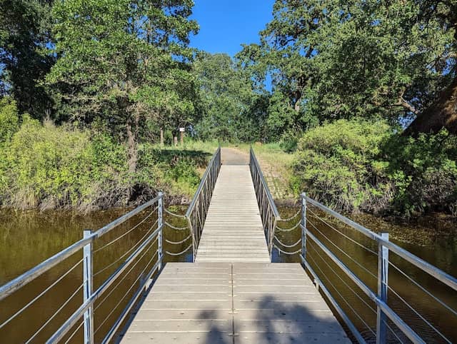 Laguna Wetlands Preserve - Image 2