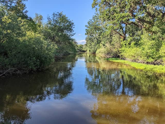 Laguna Wetlands Preserve - Image 3