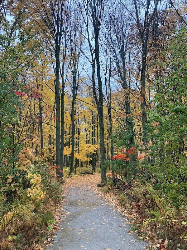 Oak Ridges Corridor, Conservation Reserve - Image 1