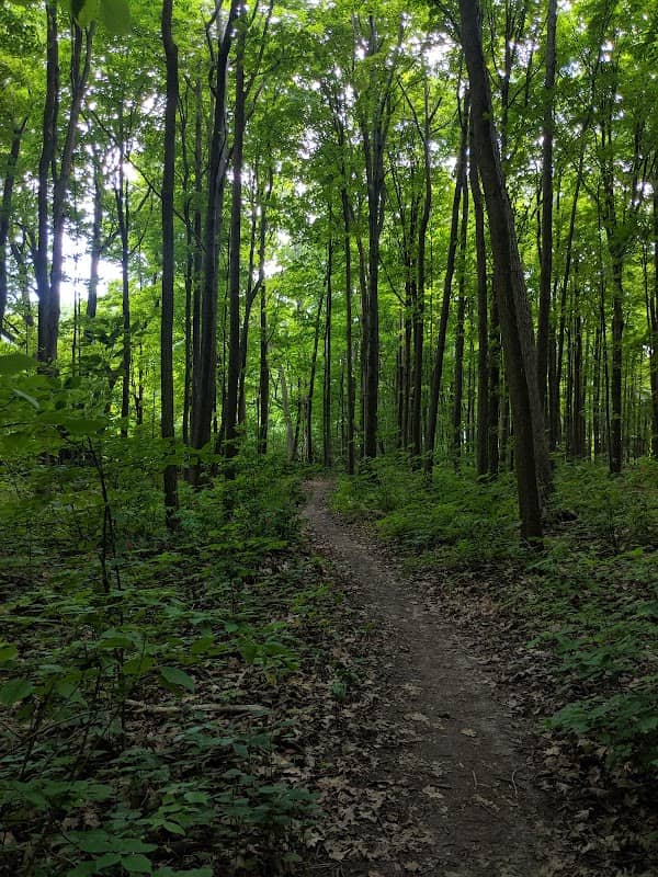 Oak Ridges Corridor, Conservation Reserve - Image 2
