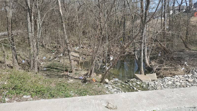Brookside Northeast Trail - Image 2