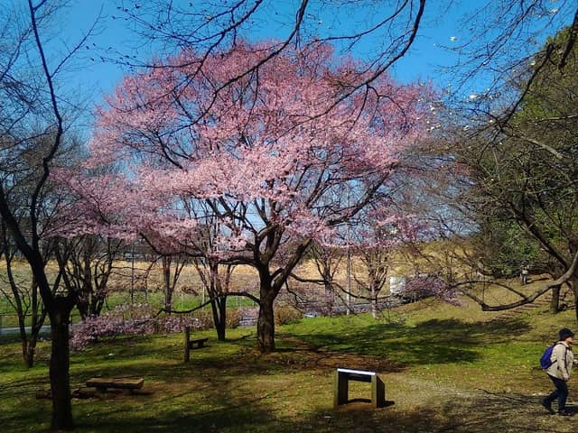 Tama Higashi Park - Image 1