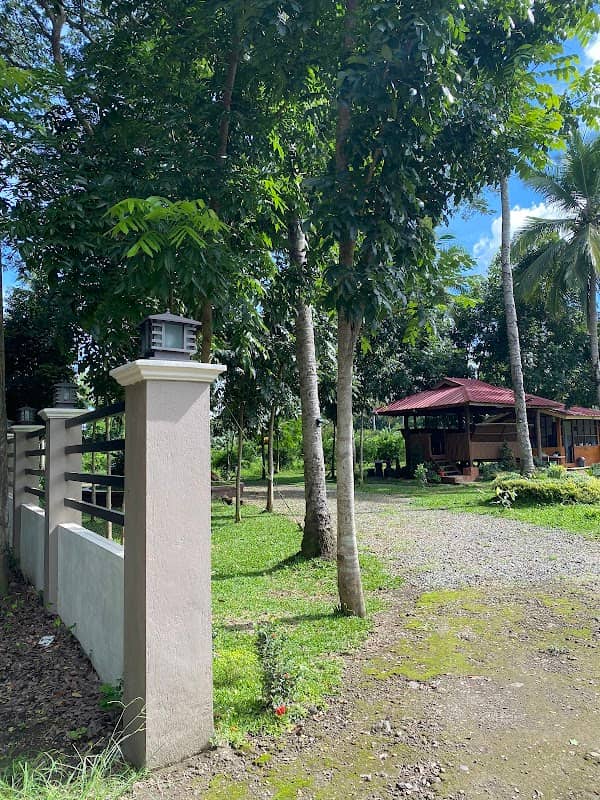 Goryo Gonzales Farm - Image 2
