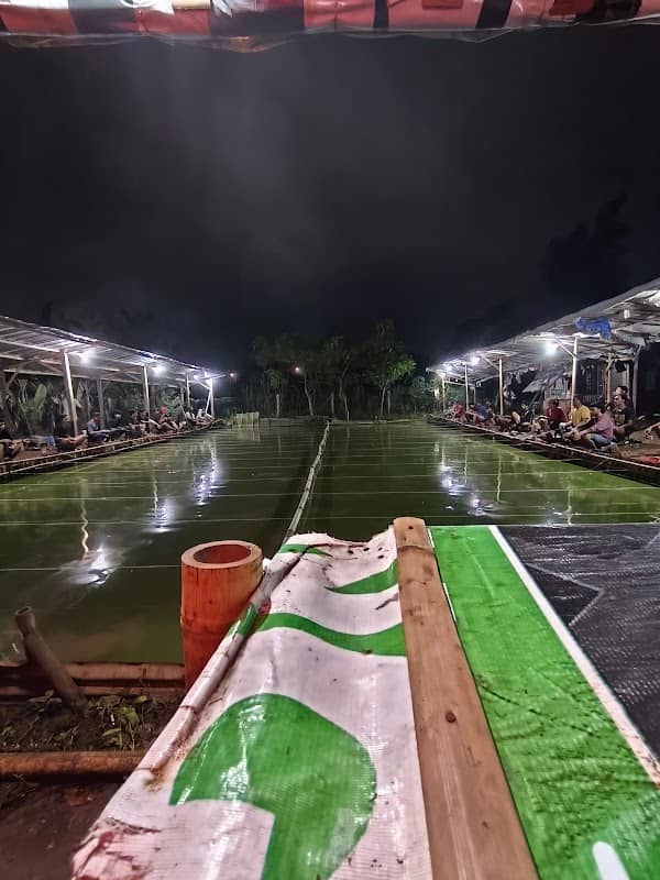 Pemancingan sawah balong - Image 2
