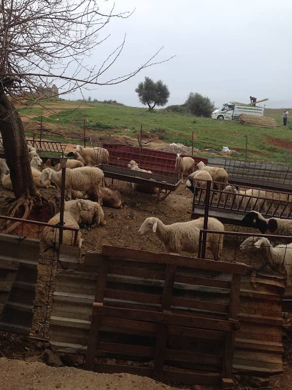 Tepe Çocuk Parkı - Image 1