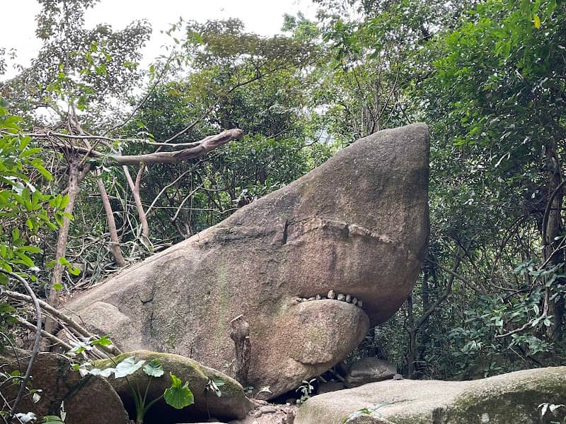 Shark Rock - Image 1