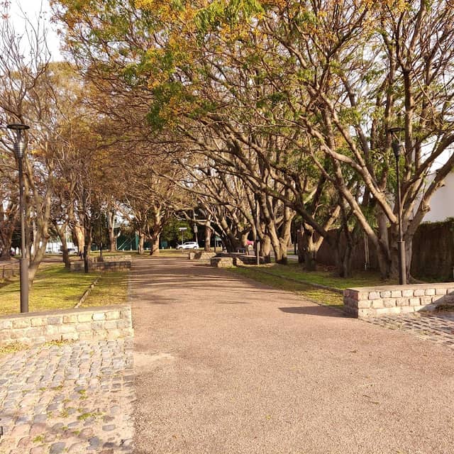 Plaza Ellis - Image 1
