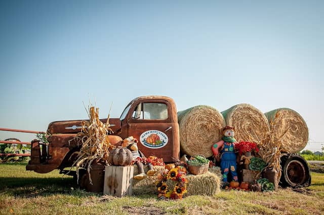 Mama Mary's Farm & Pumpkin Patch - Image 1