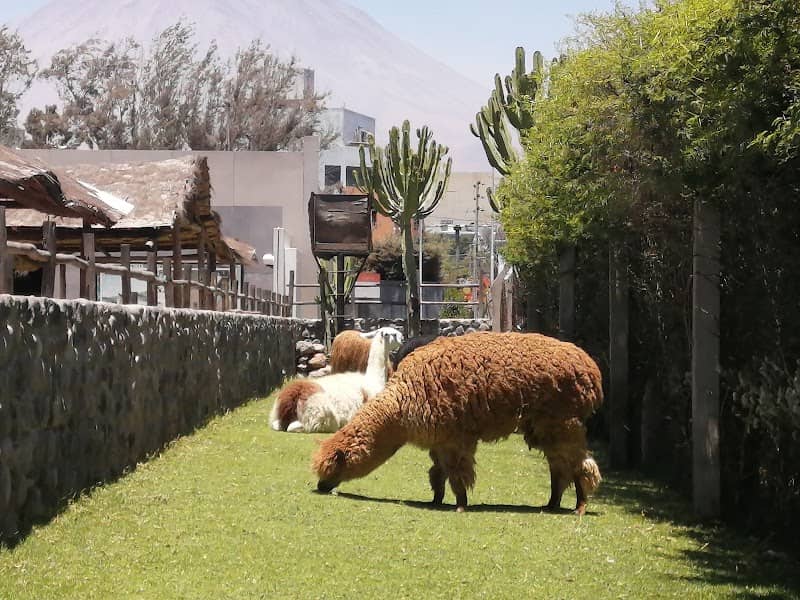 La Victoria Park - Image 1