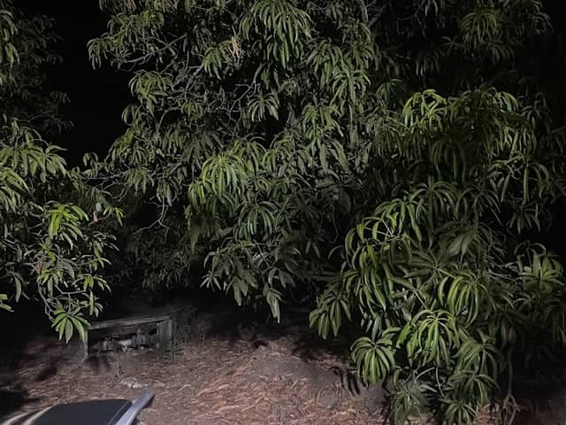 Radhe Farm - Image 1