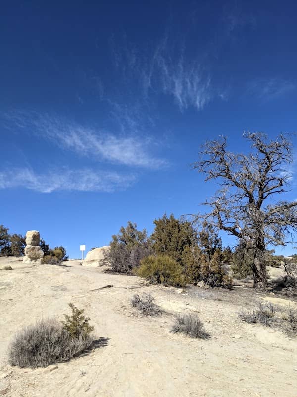 Lions Wilderness Park - Image 2