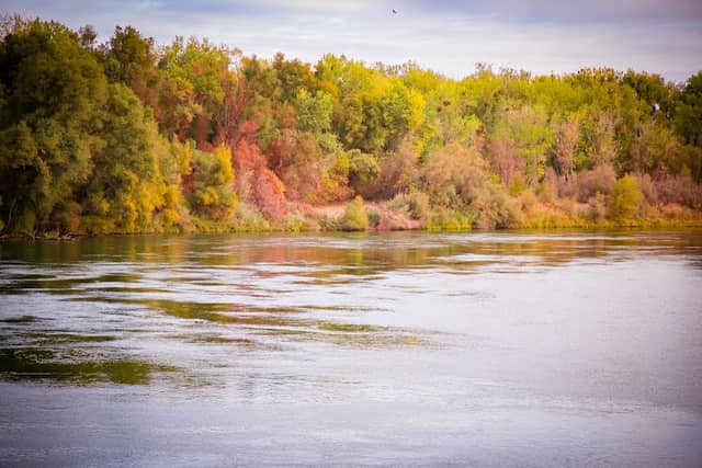 Colusa Sac River State Park - Image 1