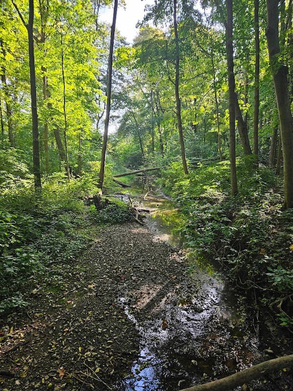 Lonidaw Nature Preserve - ACRES Land Trust - Image 1