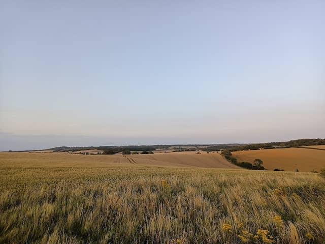 Galley & Warden Hills Nature Reserve - Image 2