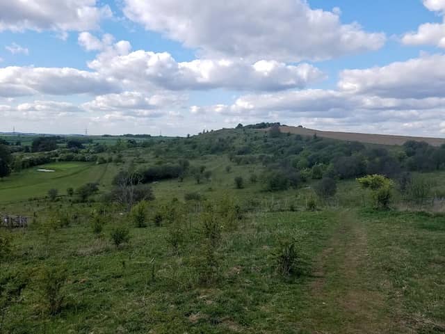 Galley & Warden Hills Nature Reserve - Image 1