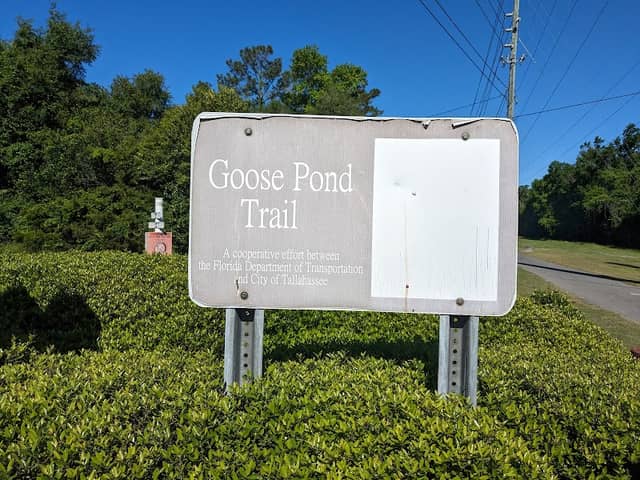 Goose Pond Trail - Image 2