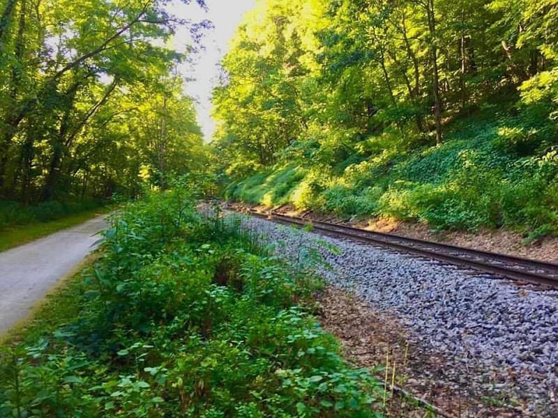 Olde Muskingum Trail-Cherry St. Trailhead - Image 2